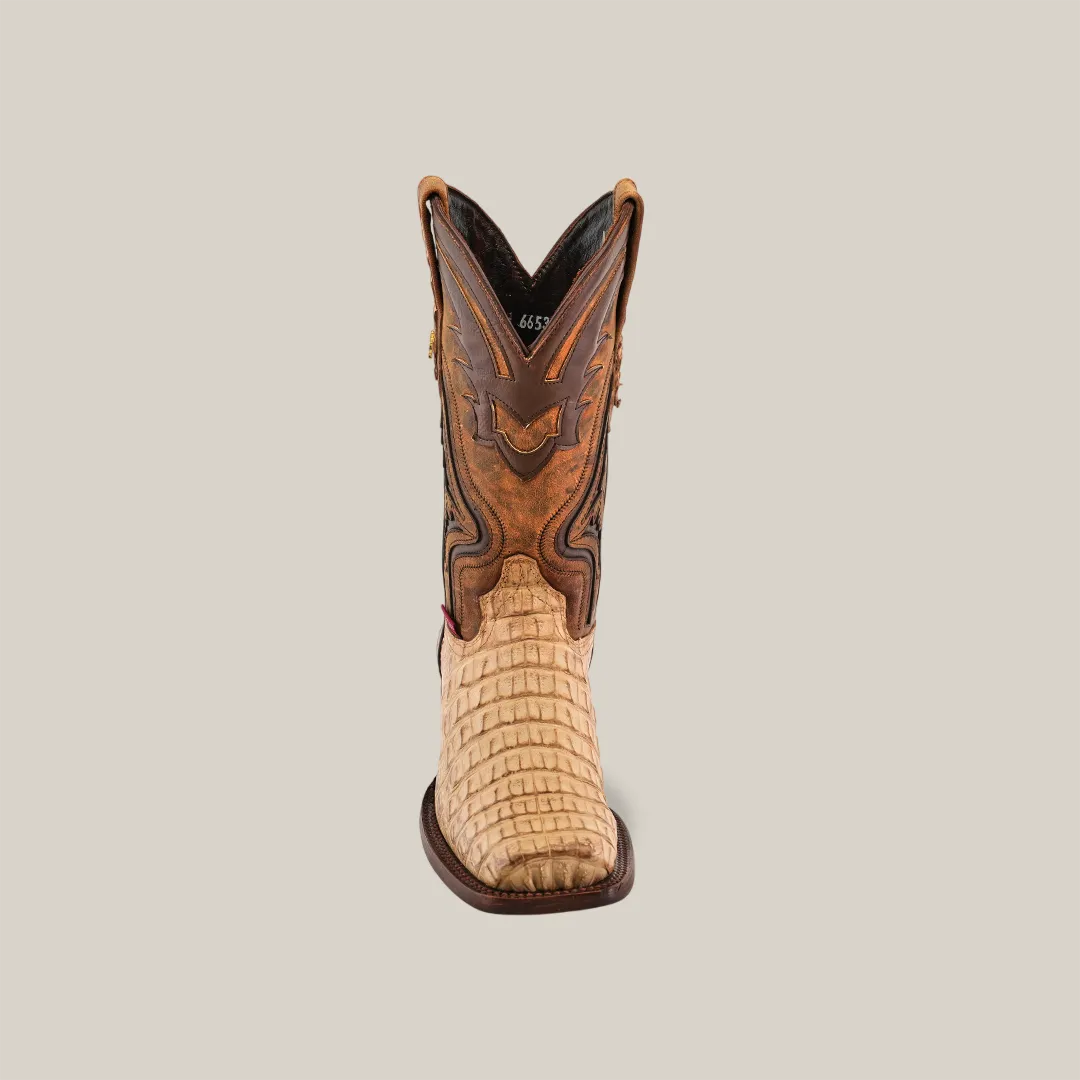 Exotic Caiman Hornback - Orix - Rodeo Toe