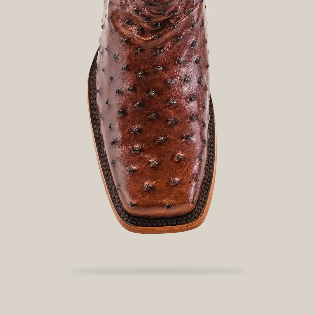 Exotic Ostrich - Brown - Rodeo Toe