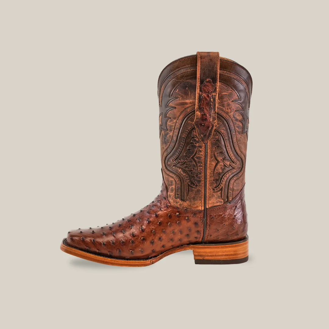 Exotic Ostrich - Brown - Rodeo Toe