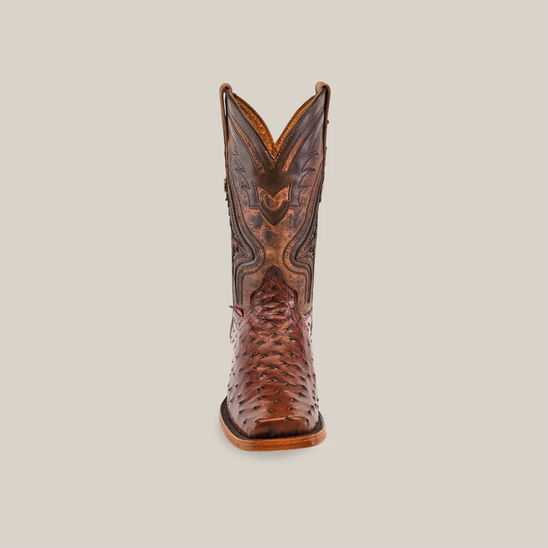 Exotic Ostrich - Brown - Rodeo Toe
