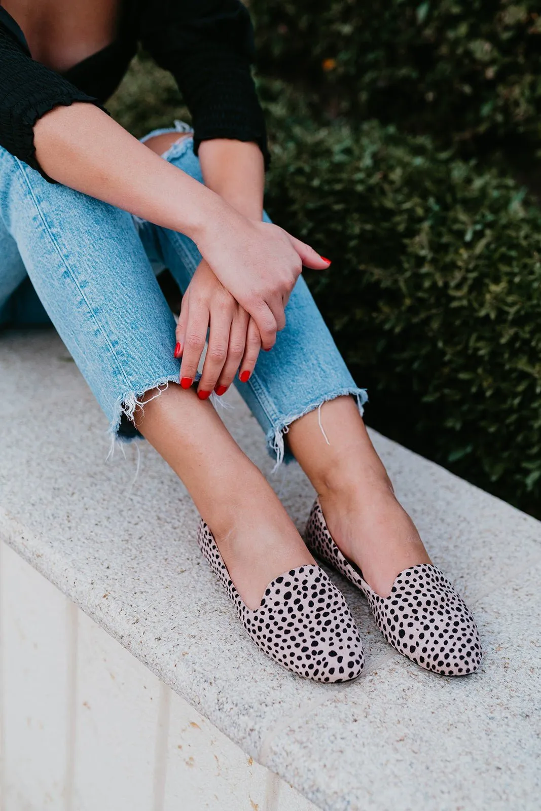 Rollasole Savannah Cheetah Flats
